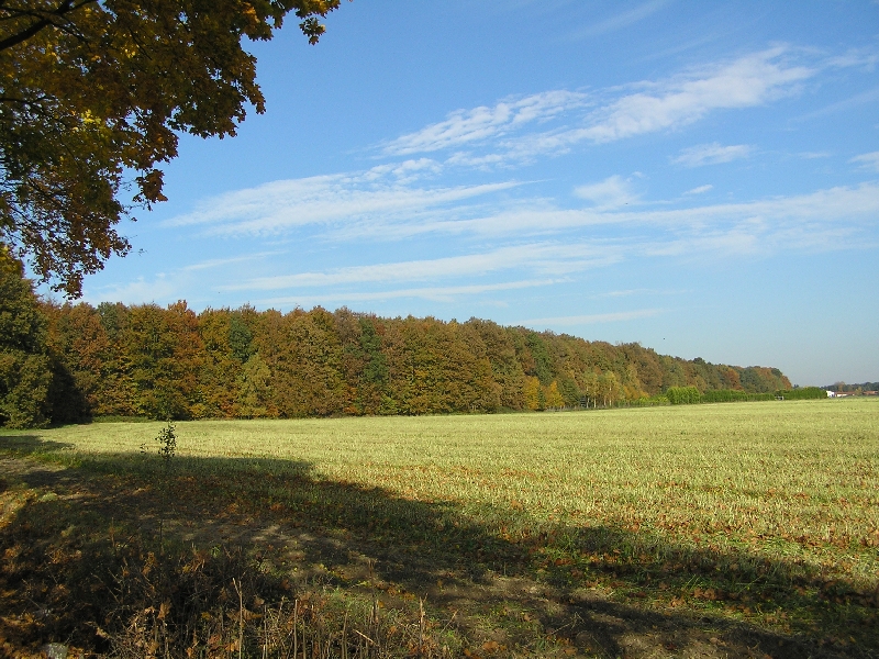PA270446.JPG