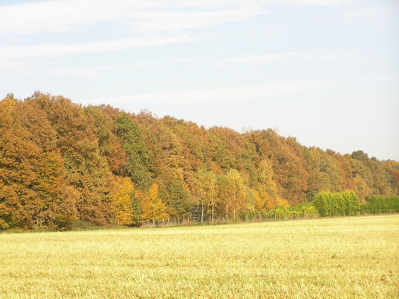 PA270450.JPG