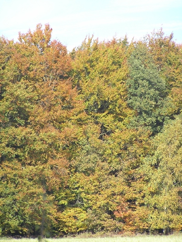 PA270452.JPG