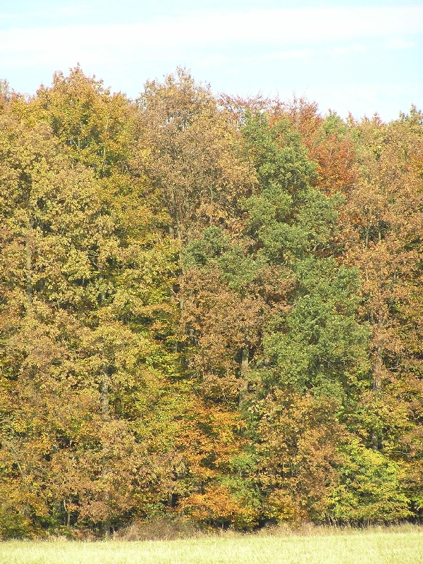 PA270453.JPG