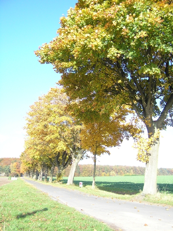 PA270457.JPG