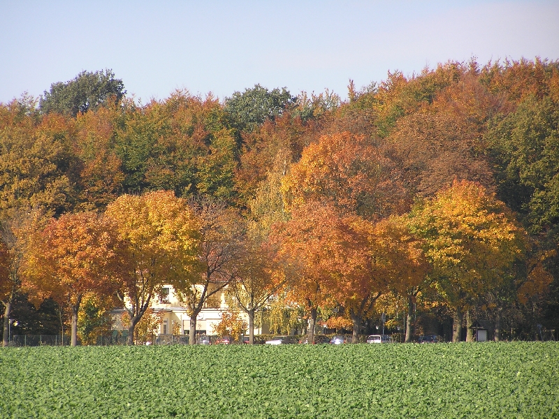 PA270461.JPG