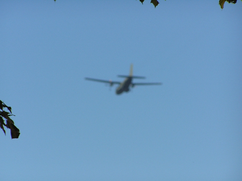 PA270462.JPG