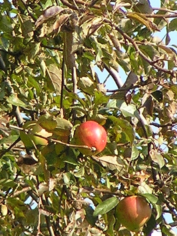 PA270467.JPG