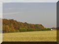 PA270451.JPG